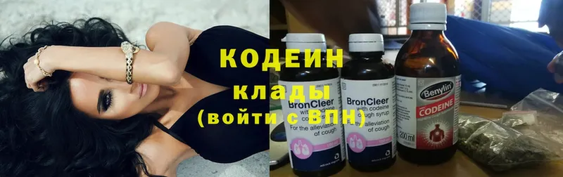 наркотики  Заозёрск  Кодеин Purple Drank 